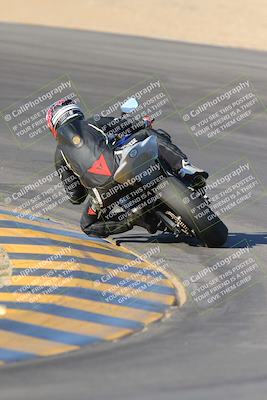 media/Nov-12-2023-SoCal Trackdays (Sun) [[5d1fba4e7d]]/Turn 10 Backside (115pm)/